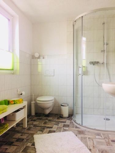 a bathroom with a shower and a toilet and a sink at Pension SPORT-SCHMIEDE in Schmiedefeld am Rennsteig