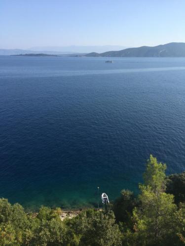 a white animal standing on the edge of a body of water at THE VIEW **** in Račišće