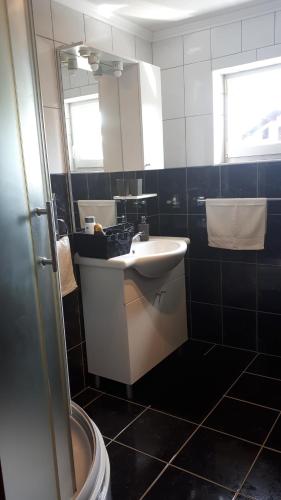 een badkamer met een wastafel en een spiegel bij Snow Queen in Rakovica