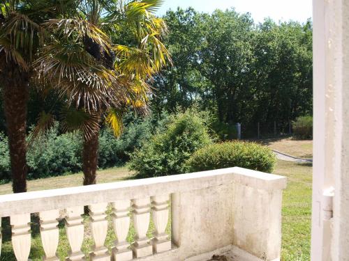 a stone fence with a palm tree in a park at LE CHEMINARD in Feugarolles