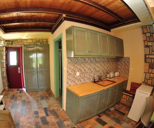 a kitchen with green cabinets and a wooden ceiling at Oreiades Houses in Kryonérion