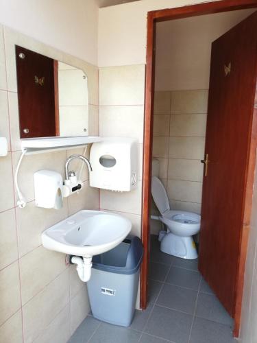 a bathroom with a sink and a toilet at T.S.G. Šimanović in Klinča Sela