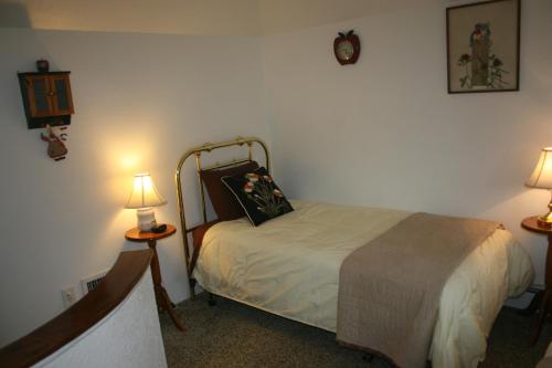 een slaapkamer met een bed met twee lampen erop bij Dreamcatcher Bed and Breakfast in Palisade