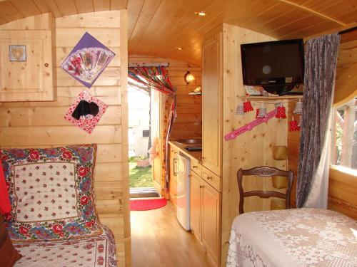- une chambre dans une cabane en rondins avec un lit et une télévision dans l'établissement Gites et Roulottes Du Grand Puits, à Saint-Laurent-dʼAigouze