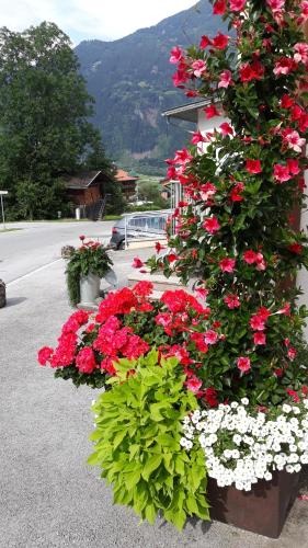 a bunch of flowers on the side of a building at Haus Binder in Ried im Zillertal
