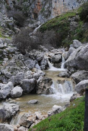 Peisaj natural din apropierea acestei case de vacanță