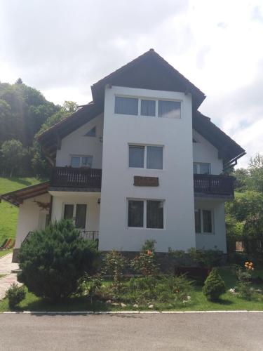 a white house with a black roof at Pensiunea Vladut in Bran