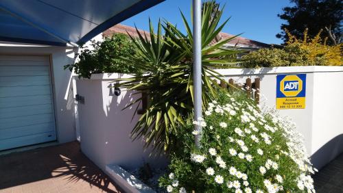 a plant with white flowers next to a white fence at Hamilton Garden Suites in Parklands