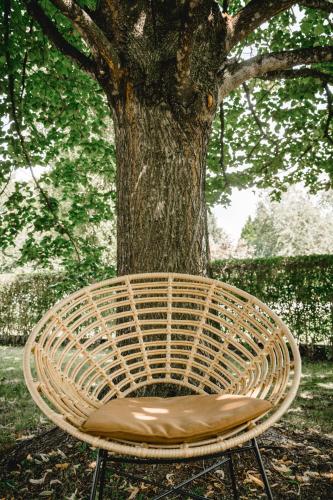 a wicker chair sitting in front of a tree at Das Gästehaus in Sankt Veit am Vogau