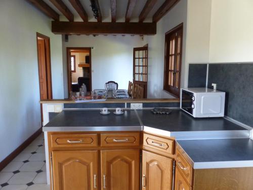 une cuisine avec un évier et un micro-ondes dans l'établissement Gîte Les Vignettes, à Bourgeauville