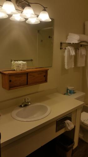 Kylpyhuone majoituspaikassa Tradewinds Motel