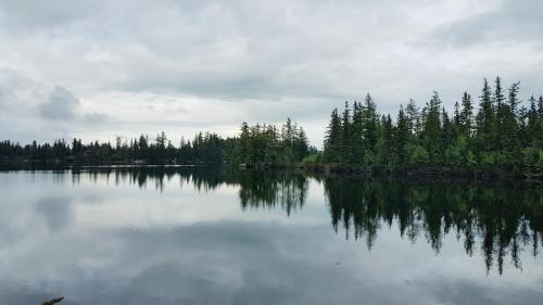 a large body of water with trees on the shore at Apartman Breza in Vysoké Tatry