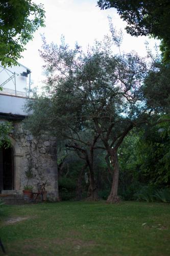 Zahrada ubytování Fattoria La Tana della Volpe