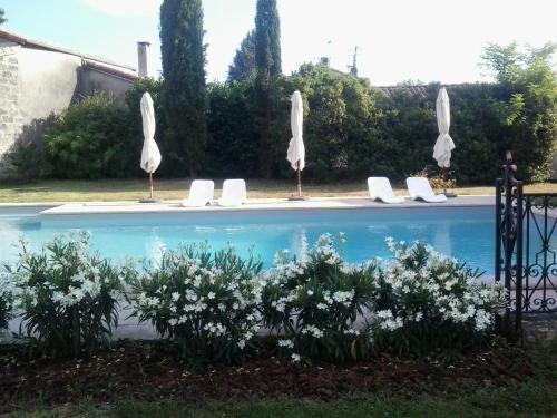 - une piscine avec des parasols et des chaises blanches dans l'établissement Château de Cauderoue, à Nérac