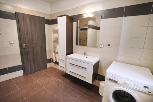 a bathroom with a sink and a washing machine at Penzion Kratochvíl in Dolní Dunajovice