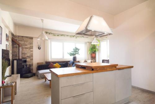 Cuina o zona de cuina de Vas' Penthouse