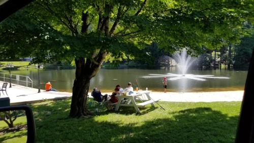 people sitting at a picnic table under a tree near a lake at Mill House Lodge - Flat Rock in Hendersonville