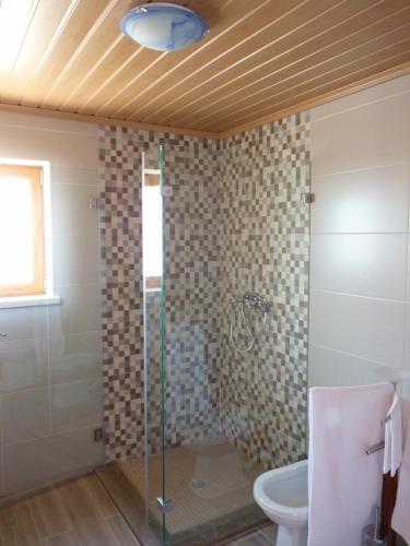a bathroom with a shower and a toilet at Refugio da Ti Maria in Batalha