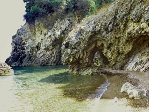 Un paisaje natural cerca del departamento
