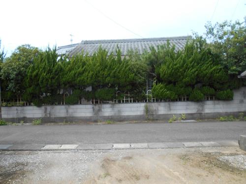 una strada vuota di fronte a un edificio con piante di ゲストハウスよろずや a Nahari