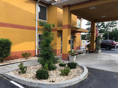 a building with a tree in front of it at Jameson Inn and Suites Hazelhurst in Hazlehurst
