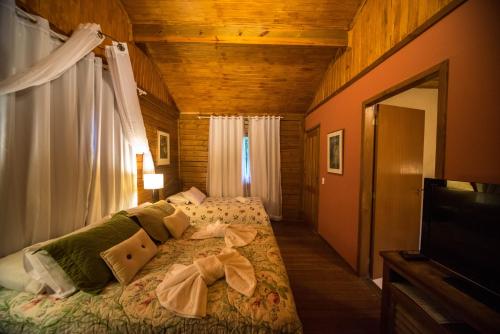 a bedroom with a bed and a television in a room at Pousada Quinta dos Pássaros Itaipava in Itaipava