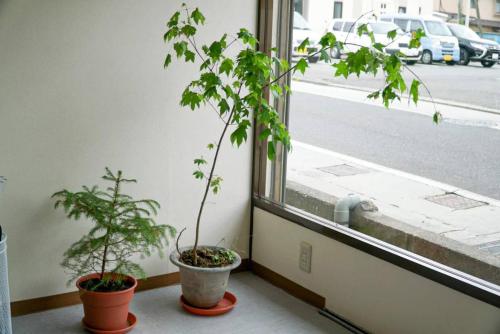 松本市にあるゲストハウス　こもりやのギャラリーの写真