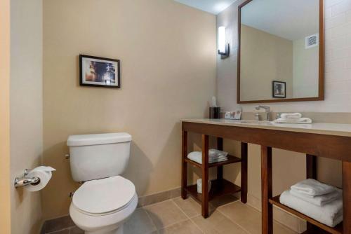 Gallery image of Comfort Inn & Suites in Napanee