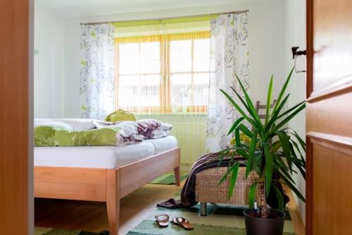 a bedroom with a bed and a window and a plant at Komfort Ferienwohnungen Reit im Winkl - Haus Davis in Reit im Winkl
