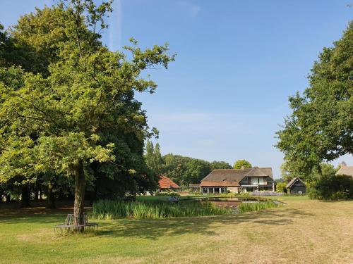 a tree in a field with a house in the background at Schaluinenhoeve in Baarle-Nassau