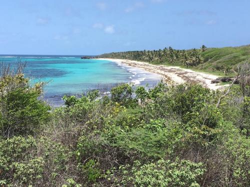 a view of a beach with the ocean at Villa "Doucè Kréyol" in Le Marin