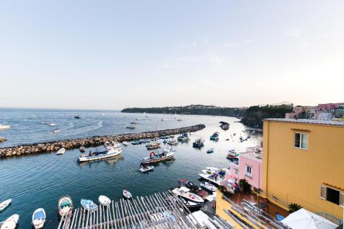 a marina with boats in the water next to buildings at San Michele in Procida