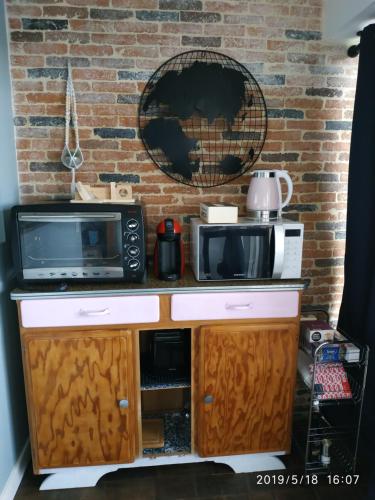 - un comptoir de cuisine avec un four micro-ondes dans l'établissement Petit cocon vue sur la Loire avec Place de Parking offerte, à Orléans