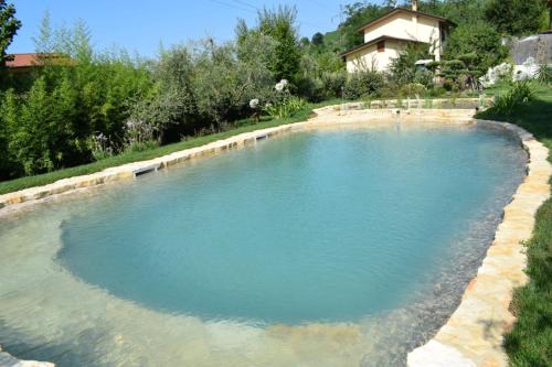a large pool of blue water in a yard at Le Ginestre in Massa