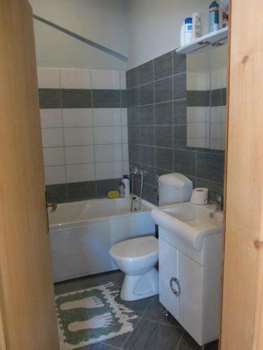a bathroom with a toilet and a sink and a tub at Villa Altiparmak in Resen