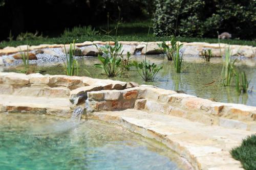 a pool of water with a fountain in a garden at Le Ginestre in Massa