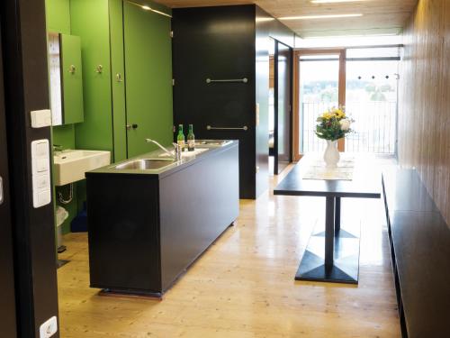 Kuchyňa alebo kuchynka v ubytovaní Almenland Apartment Passail