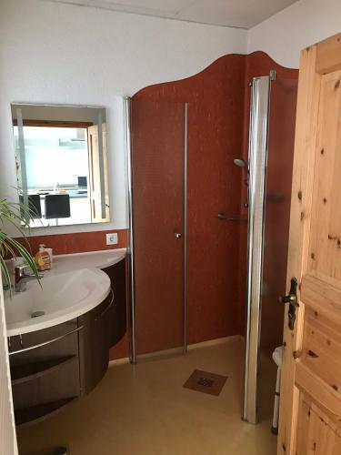 a bathroom with a sink and a shower and a mirror at Zur alten Tischlerei in Wurzen