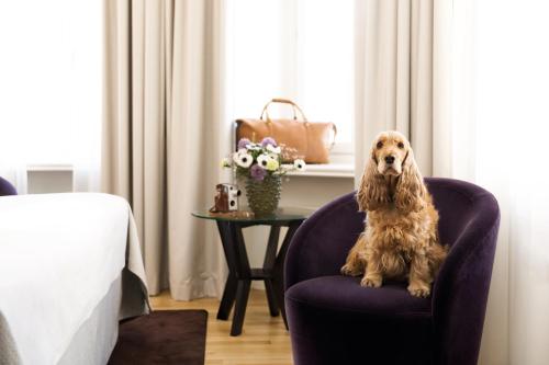 a dog sitting in a chair next to a table at Elite Stora Hotellet Örebro in Örebro