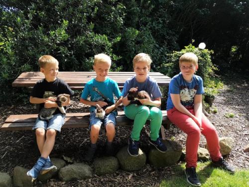 Ferienhof Albert – Photos 3
