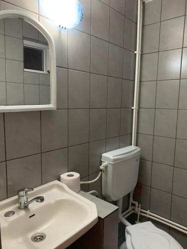 a bathroom with a sink and a toilet and a mirror at Casa Ghemus Costinesti in Costinesti