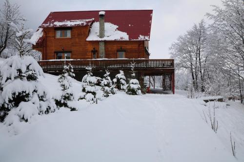 Carpathian Log Home зимой