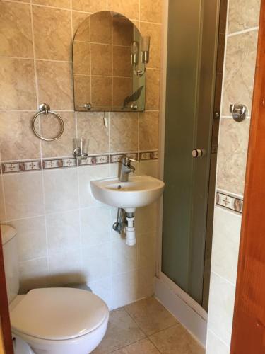 Un baño con inodoro, lavabo y espejo. en Privat Patty, en Stará Lesná