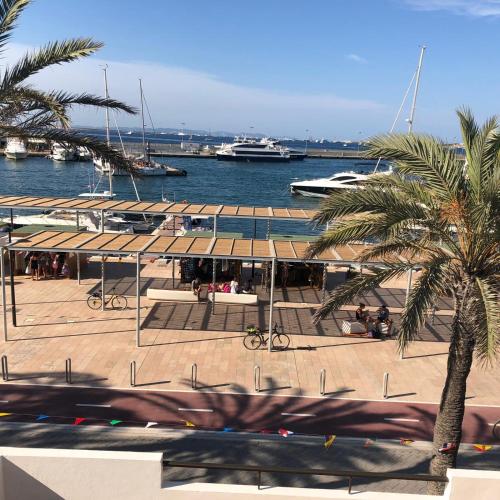 Apartamentos Mar i Vent Puerto de La Savina Formentera في لا سافينا: المارينا بالنخيل والقوارب في الماء