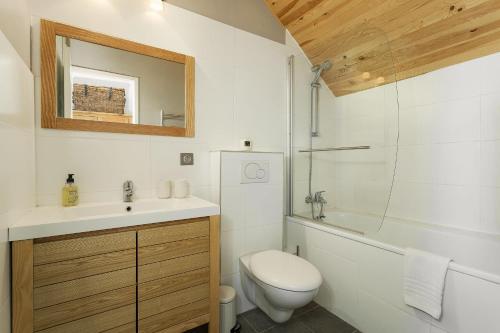 een badkamer met een toilet, een wastafel en een spiegel bij Apartment Midi Loft in Chamonix-Mont-Blanc