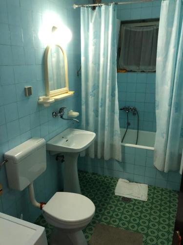 y baño con aseo, lavabo y ducha. en Guest House Plima 2, en Budva