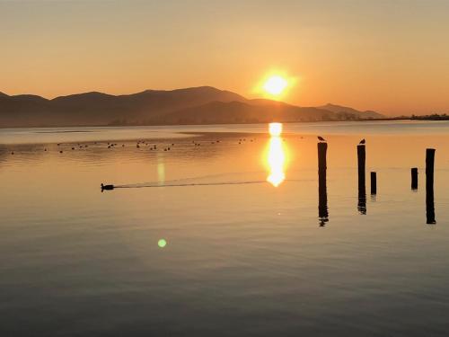Gallery image of Vista Lago in Torre del Lago Puccini