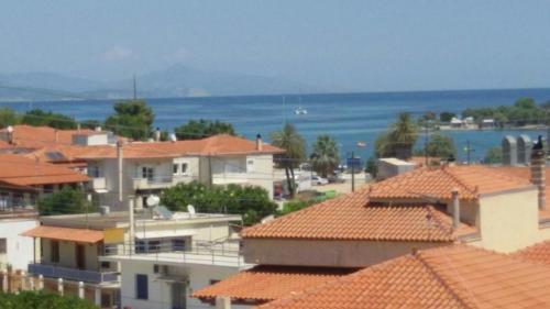 Φυσικό τοπίο κοντά σε αυτό το διαμέρισμα