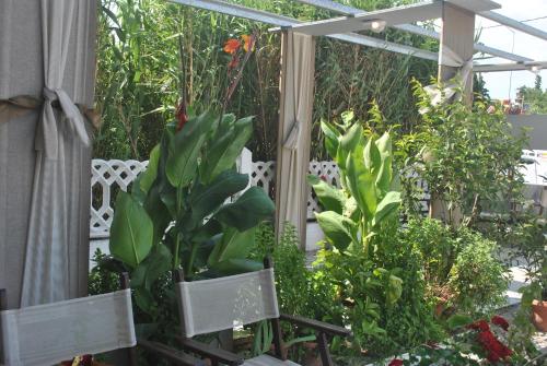 a garden with white chairs and plants in a greenhouse at Alexander Apartments in Alexandroupoli