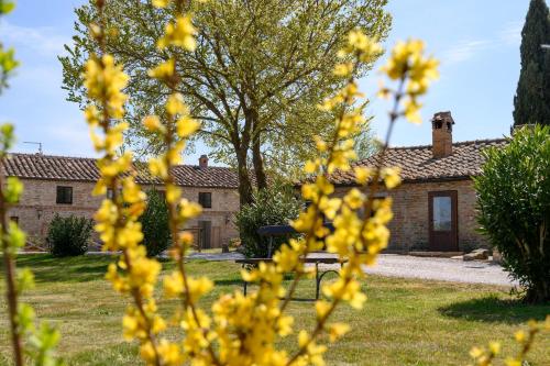 Taman di luar Fattoria Pieve a Salti